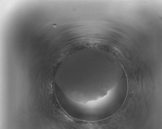 X0000068271013200605051809