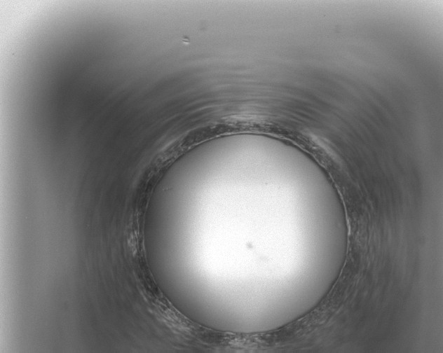 X0000068271015200605051809