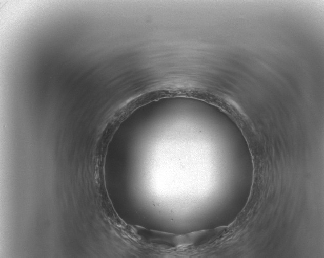 X0000068271016200605051809