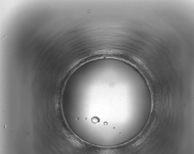 X0000068271017200605051809