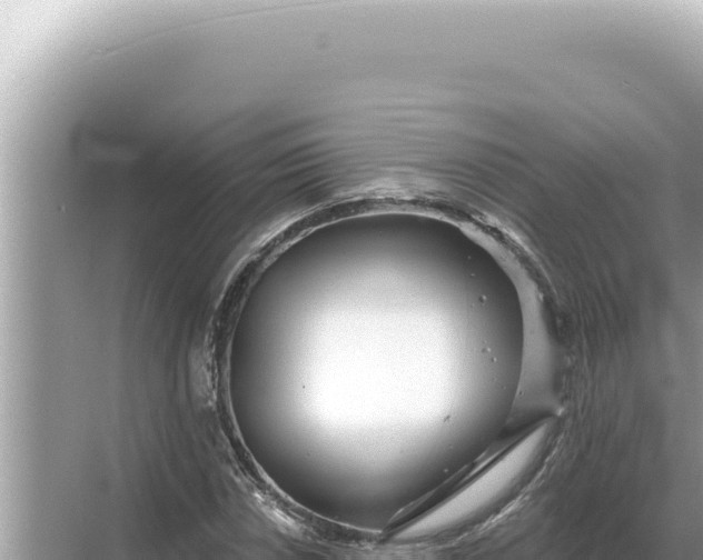 X0000068271018200605051809