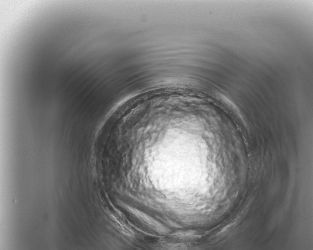 X0000068271019200605051809