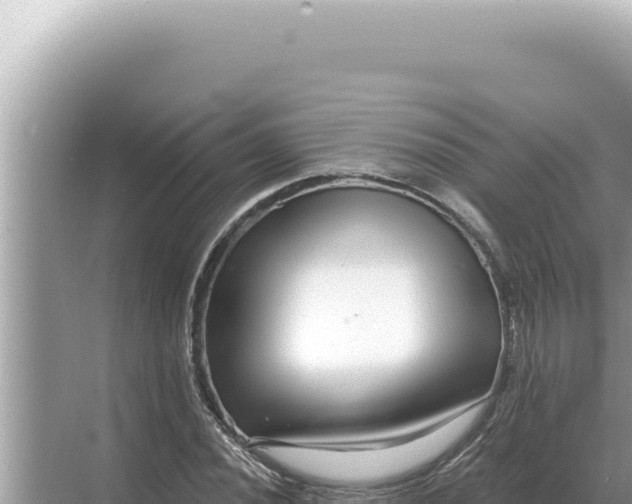 X0000068271020200605051809