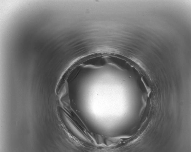 X0000068271022200605051809