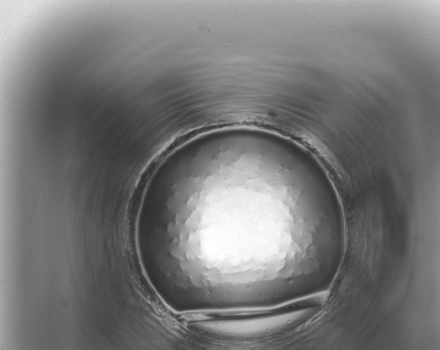 X0000068271023200605051809