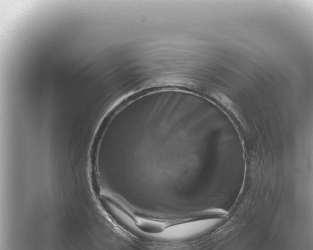 X0000068271024200605051809