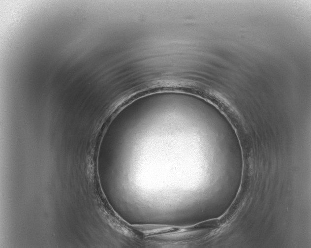 X0000068271025200605051809