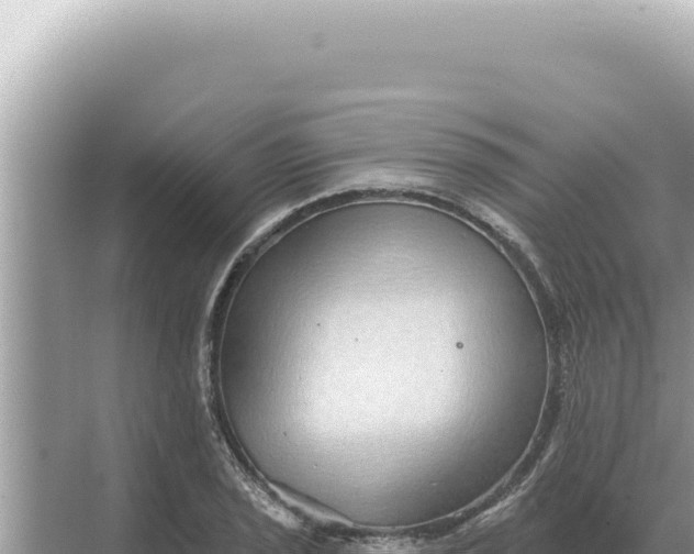 X0000068271029200605051809