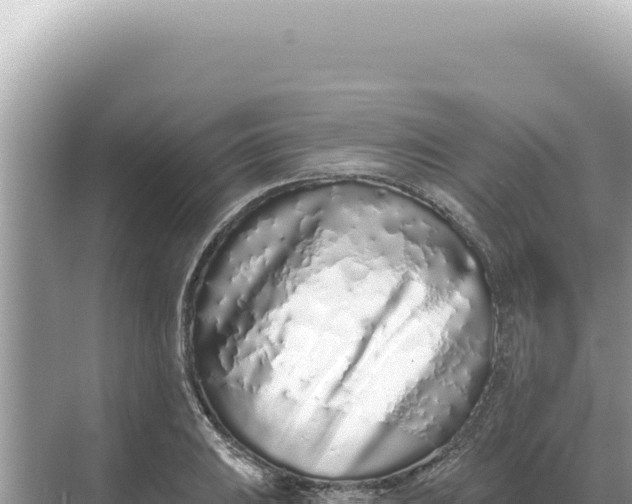 X0000068271031200605051809