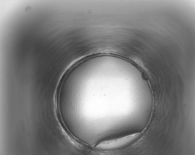 X0000068271032200605051810