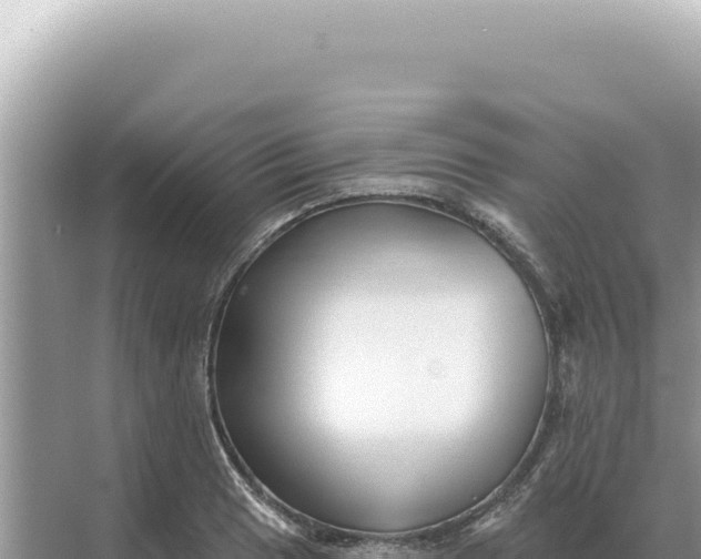 X0000068271033200605051810