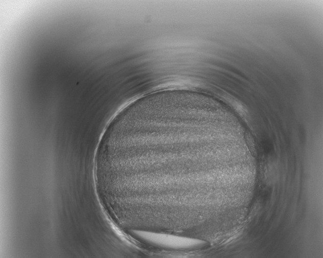 X0000068271034200605051810