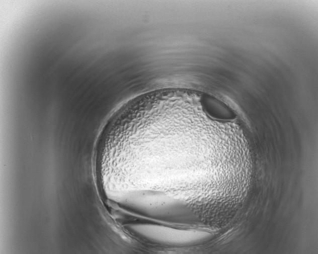 X0000068271035200605051810