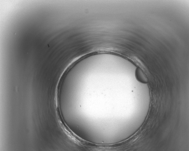 X0000068271036200605051810