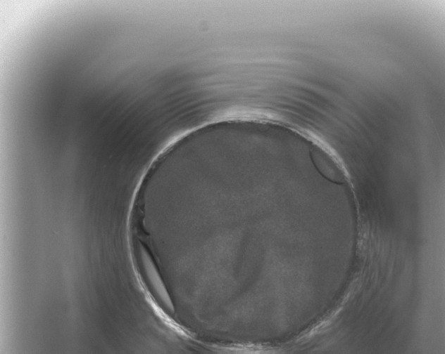 X0000068271037200605051810