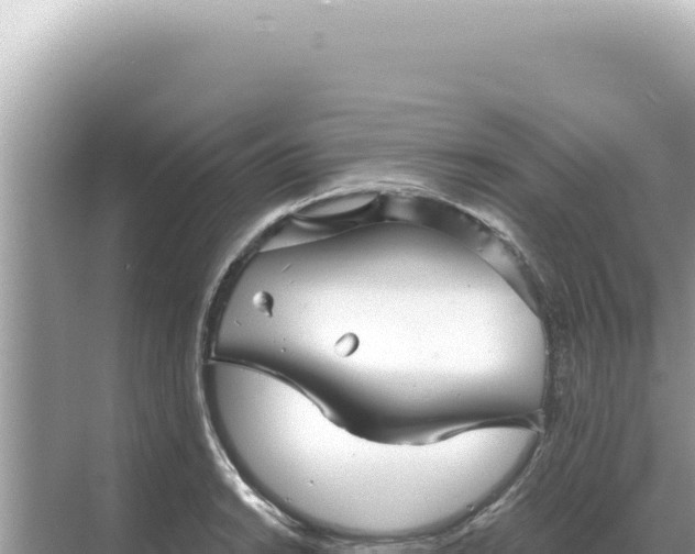 X0000068271038200605051810