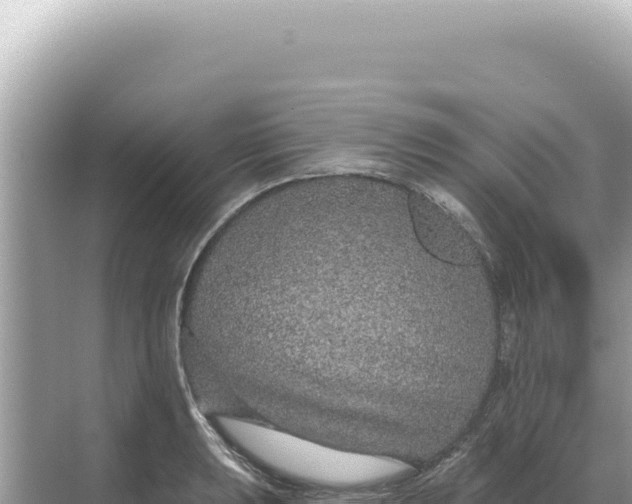 X0000068271039200605051810