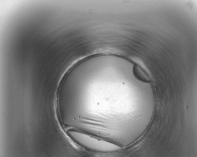 X0000068271040200605051810