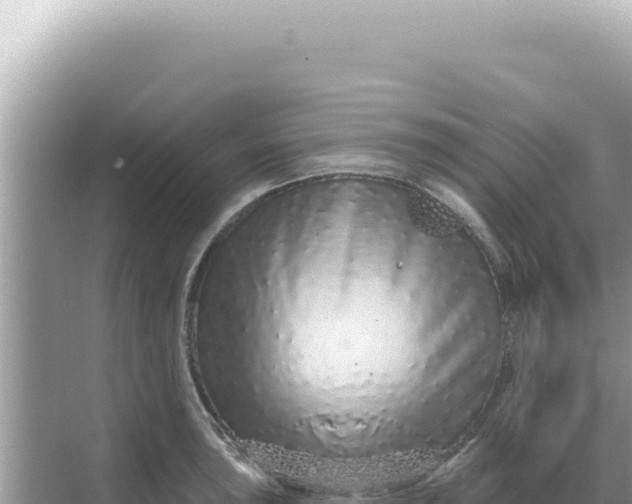 X0000068271043200605051810