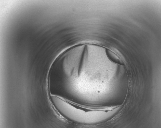 X0000068271044200605051810