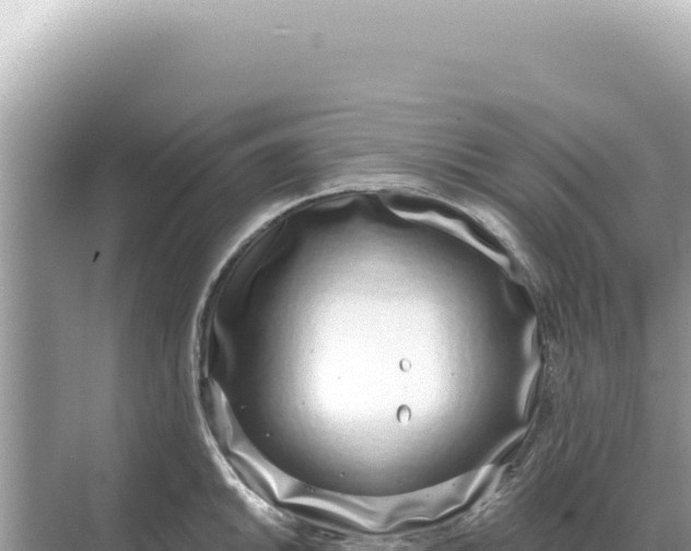 X0000068271046200605051810