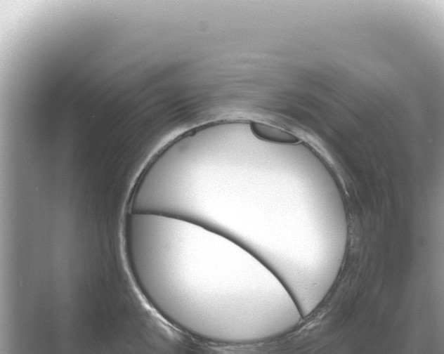 X0000068271048200605051810