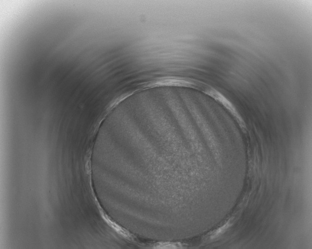 X0000068271049200605051810