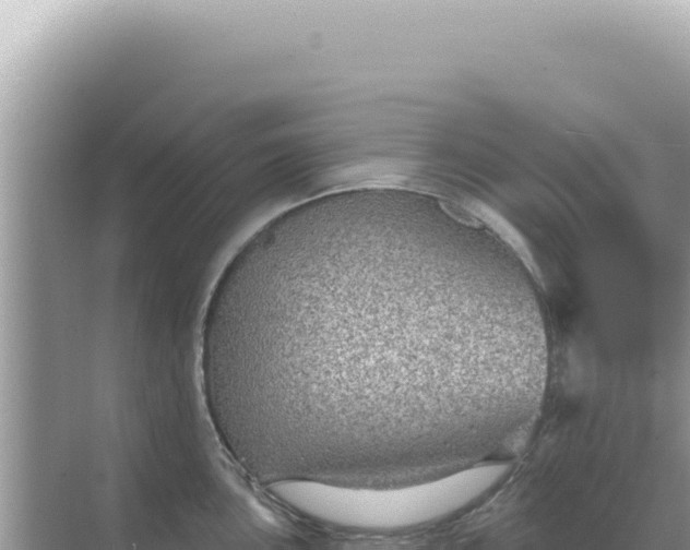 X0000068271051200605051810