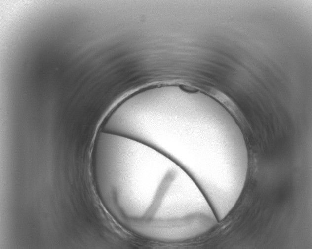 X0000068271052200605051810