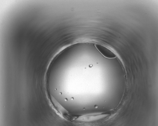 X0000068271053200605051810