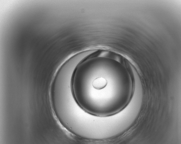 X0000068271054200605051810