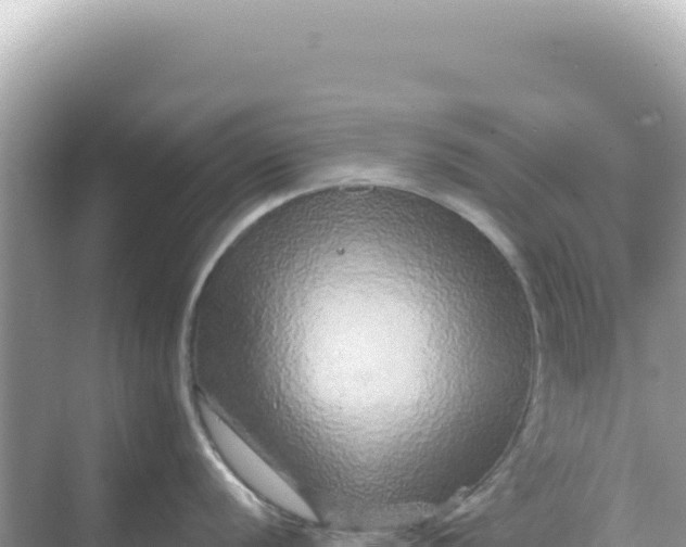 X0000068271056200605051810