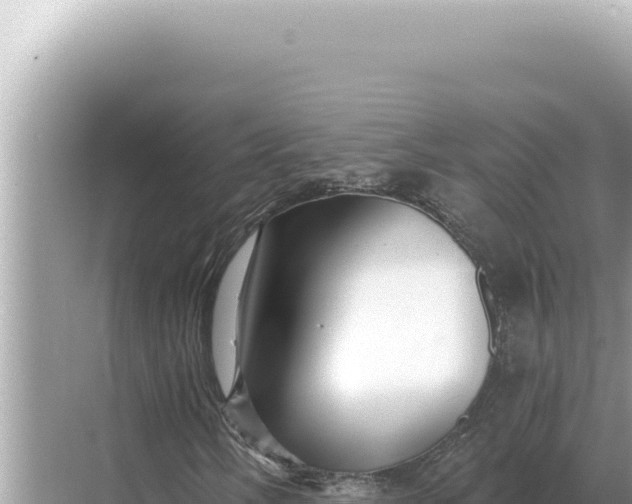 X0000068271058200605051809