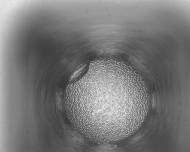 X0000068271059200605051809