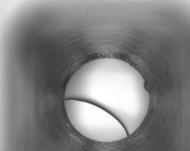 X0000068271060200605051809