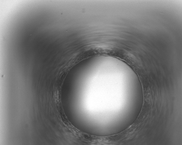 X0000068271061200605051809