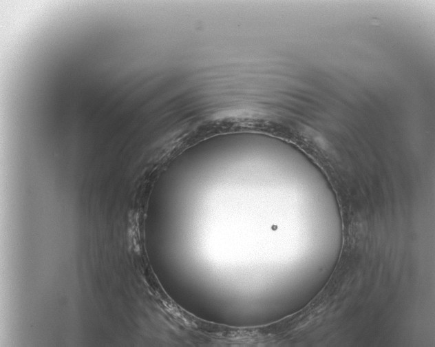 X0000068271062200605051809