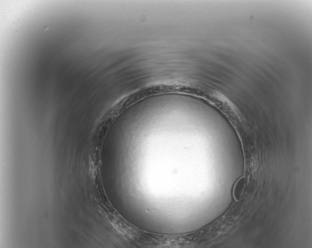 X0000068271064200605051809