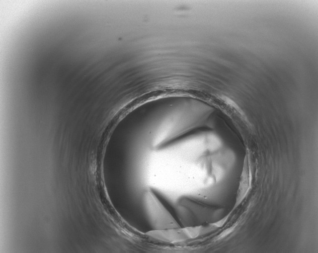 X0000068271065200605051809