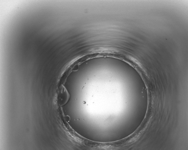 X0000068271066200605051809