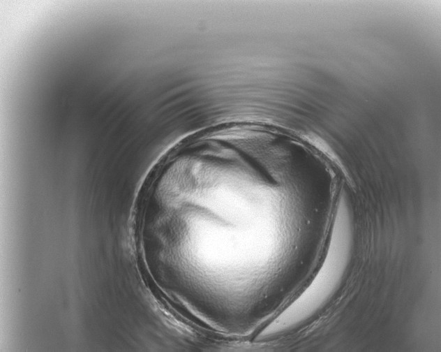 X0000068271068200605051809