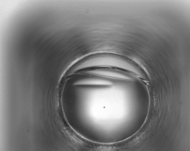 X0000068271069200605051809