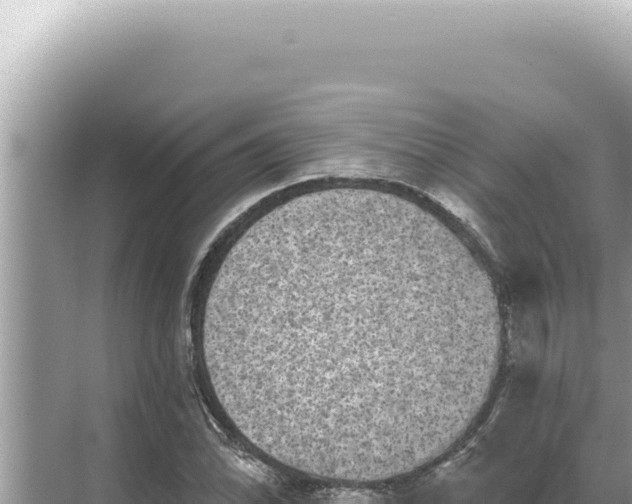 X0000068271070200605051809