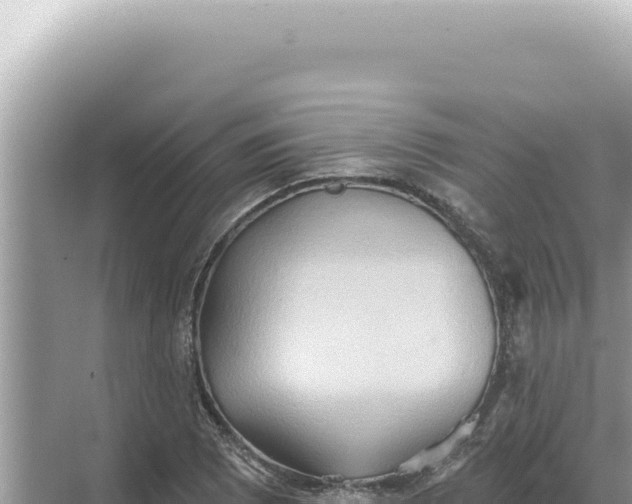 X0000068271073200605051809