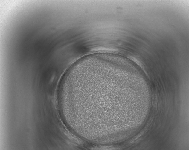 X0000068271074200605051809