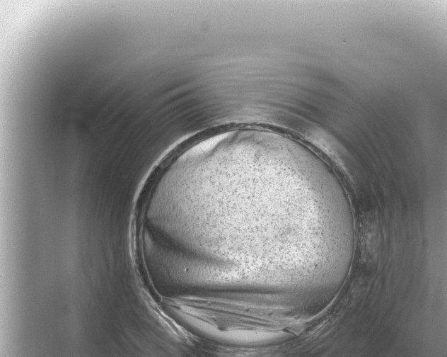 X0000068271076200605051809