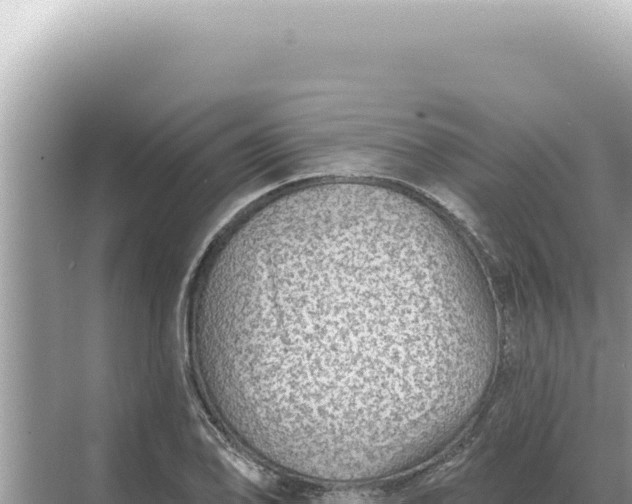 X0000068271078200605051809