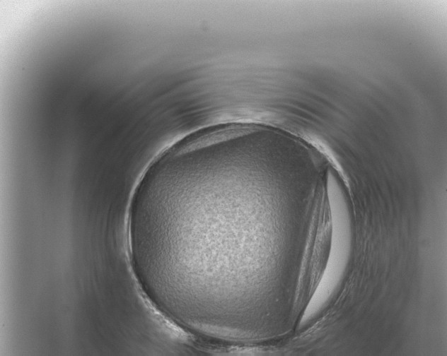 X0000068271080200605051809