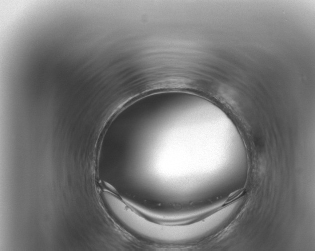 X0000068271081200605051809