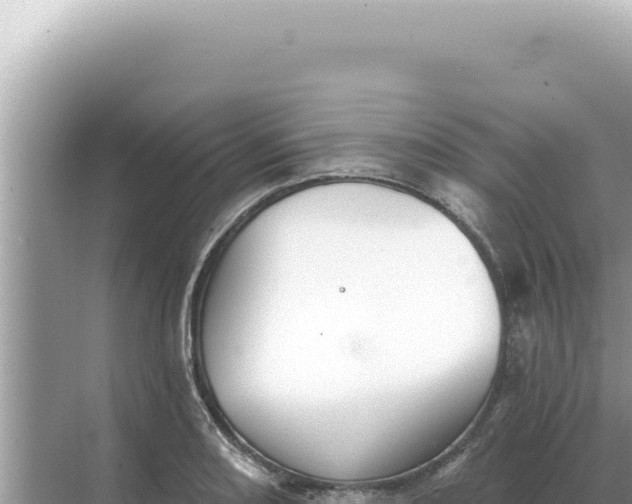 X0000068271082200605051809